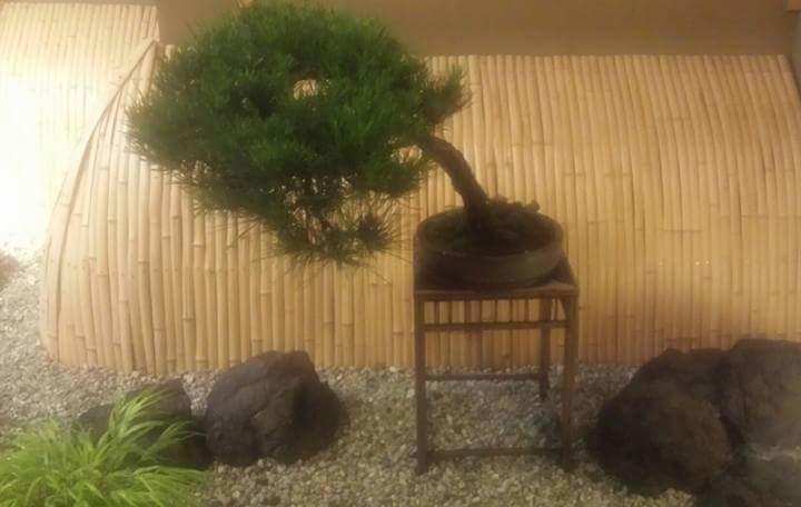 Akakura Onsen Hotel Korakuso Миоко Екстериор снимка